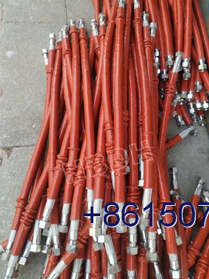 DN20 High temperature ss flexible hose