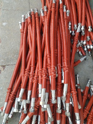 DN20 High temperature ss flexible hose